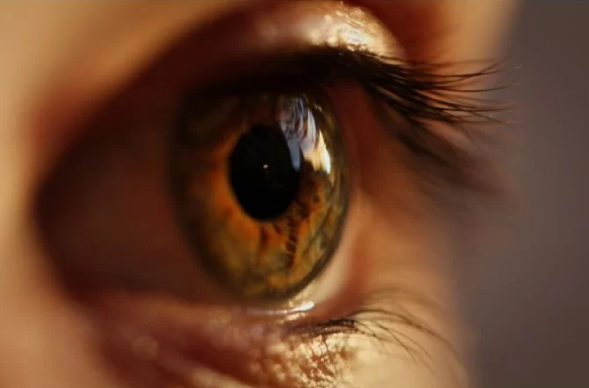 Descolamento de retina e vitrectomia: reconhecer os sinais pode salvar a visão