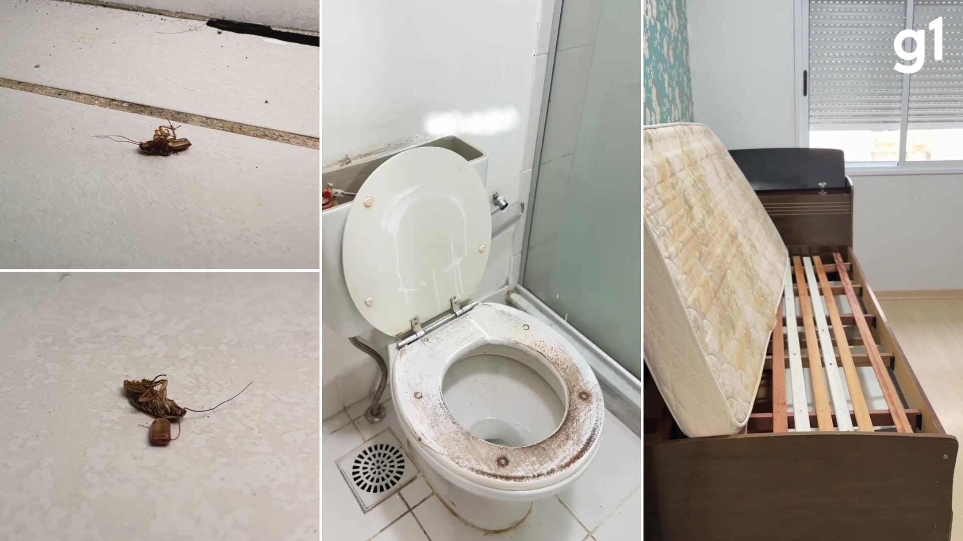 Cockroach infestation, furniture and broken windows: owner receives destroyed apartment in RS