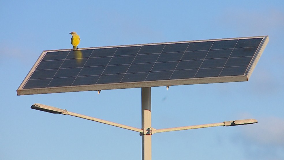 Rede de franquias de energia fotovoltaica chega à Barueri - Folha