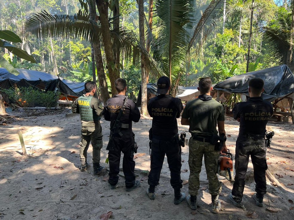 Agentes da PF e Ibama em ação para combater crimes ambientais em Terra Indígena — Foto: PF/Reprodução