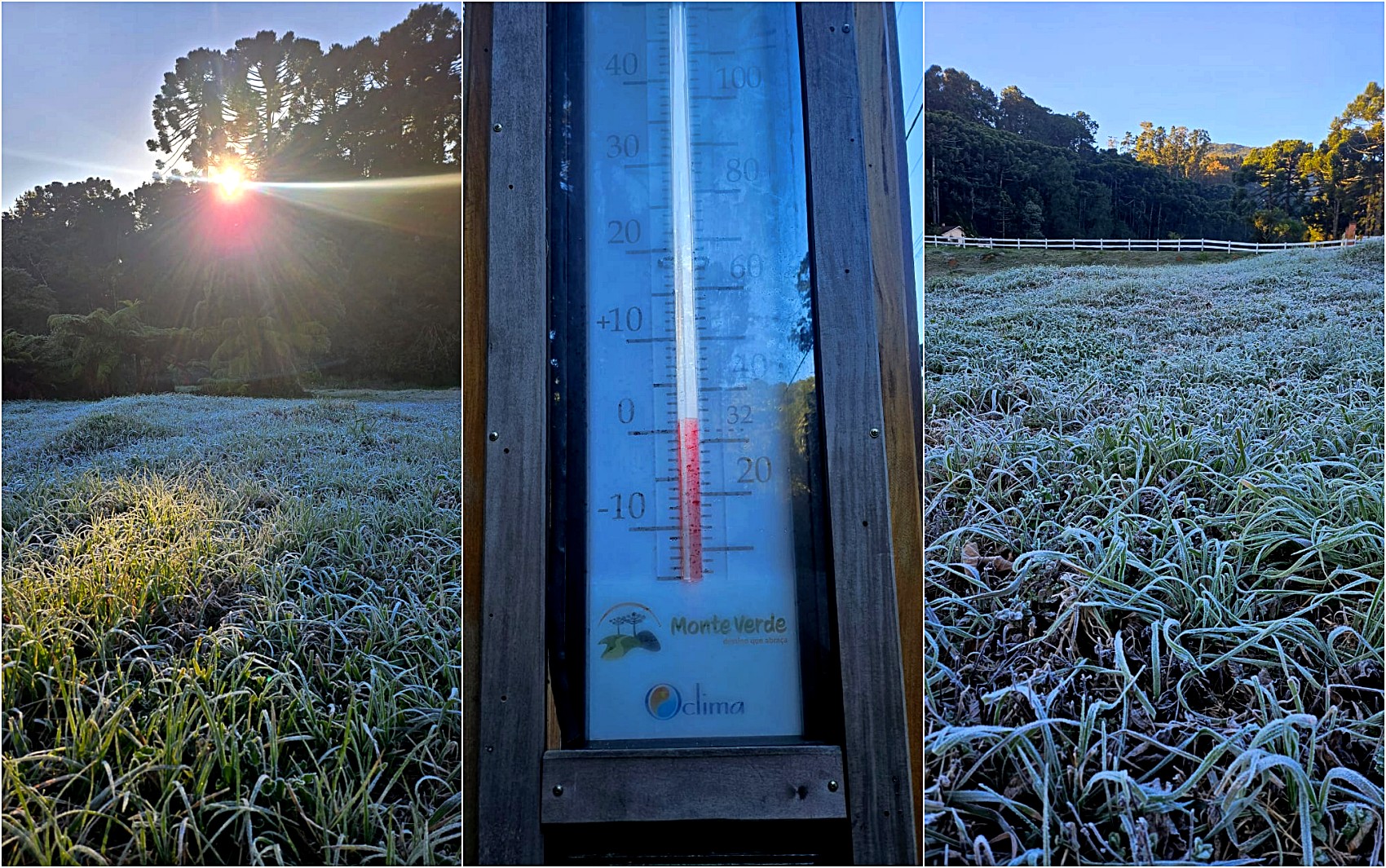 FOTOS: Frio intenso provoca geada no Sul de Minas; estações locais registram mínimas abaixo de 1°C