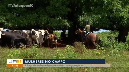 Mulheres no campo: a força da mulher é destaque também no agronegócio