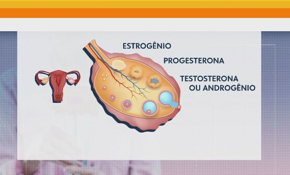 Menopausa: série do SP1 explica impactos à saúde da mulher 