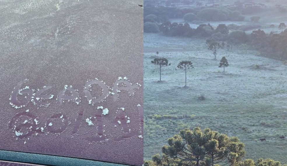 Geada em SC: Serra amanhece coberta de gelo em pleno novembro | G1