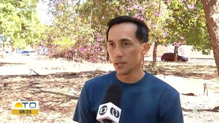 Árvores típicas do cerrado florescem em meio à seca no Cerrado