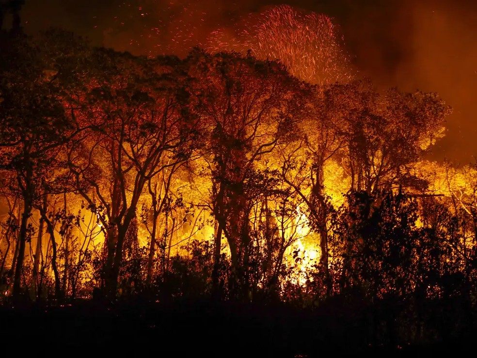 Incêndio no Pantanal — Foto: Joédson Alves/Agência Brasil