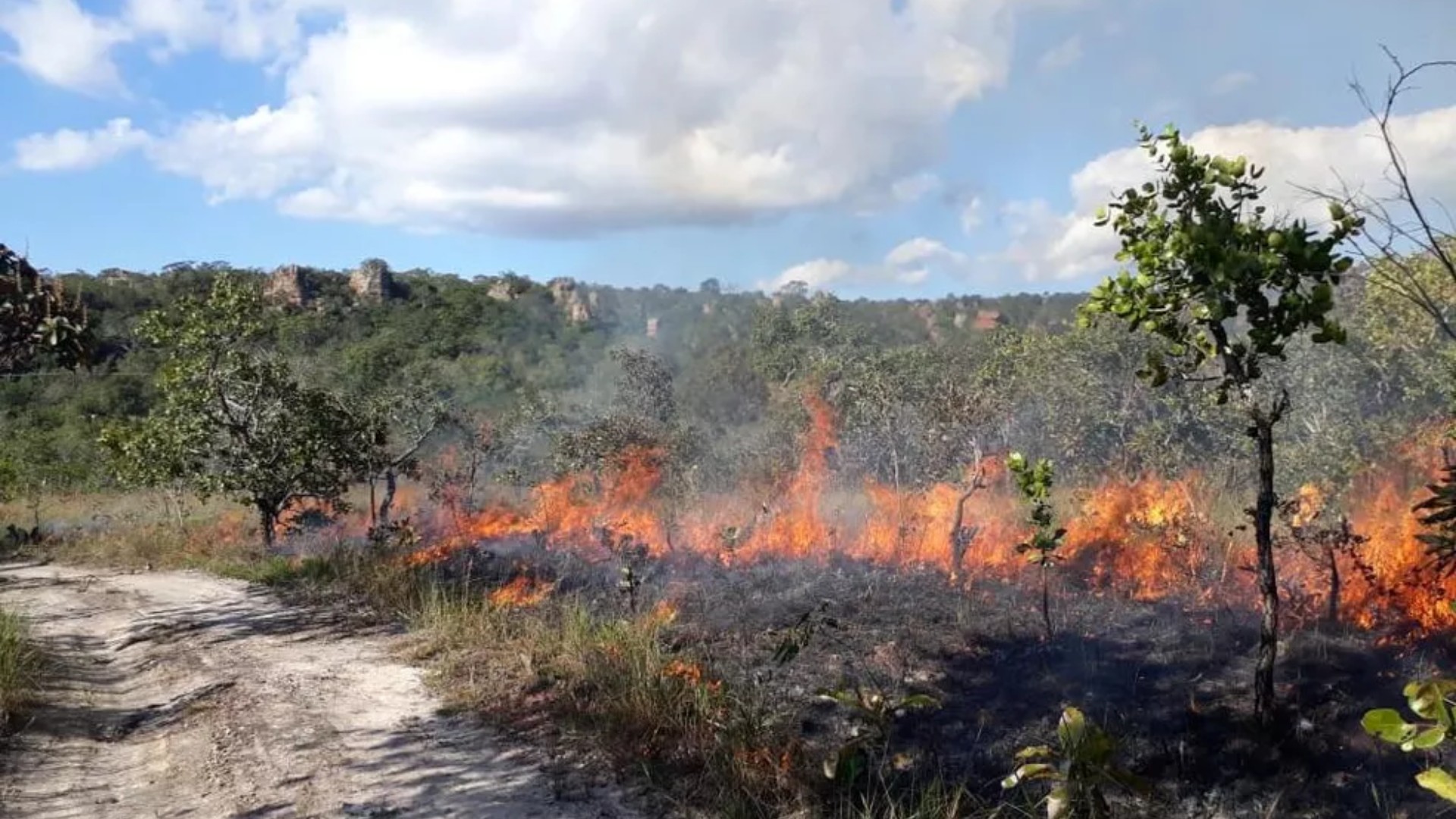 Mato Grosso é o estado com mais focos de calor registrados no país em 2026