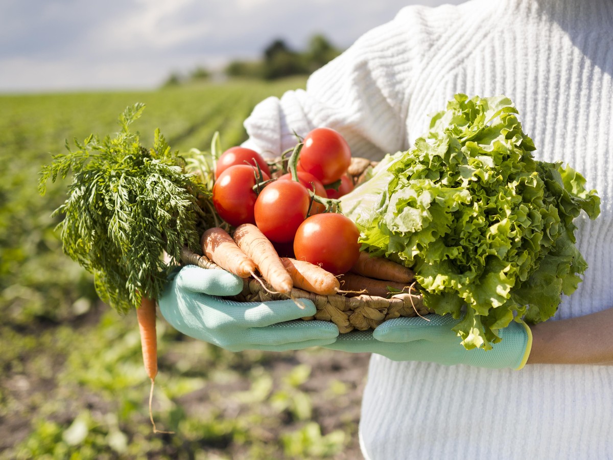 Agricultura Familiar Produz 70 Dos Alimentos Consumidos No Brasil E Melhora Qualidade Da Comida 7800