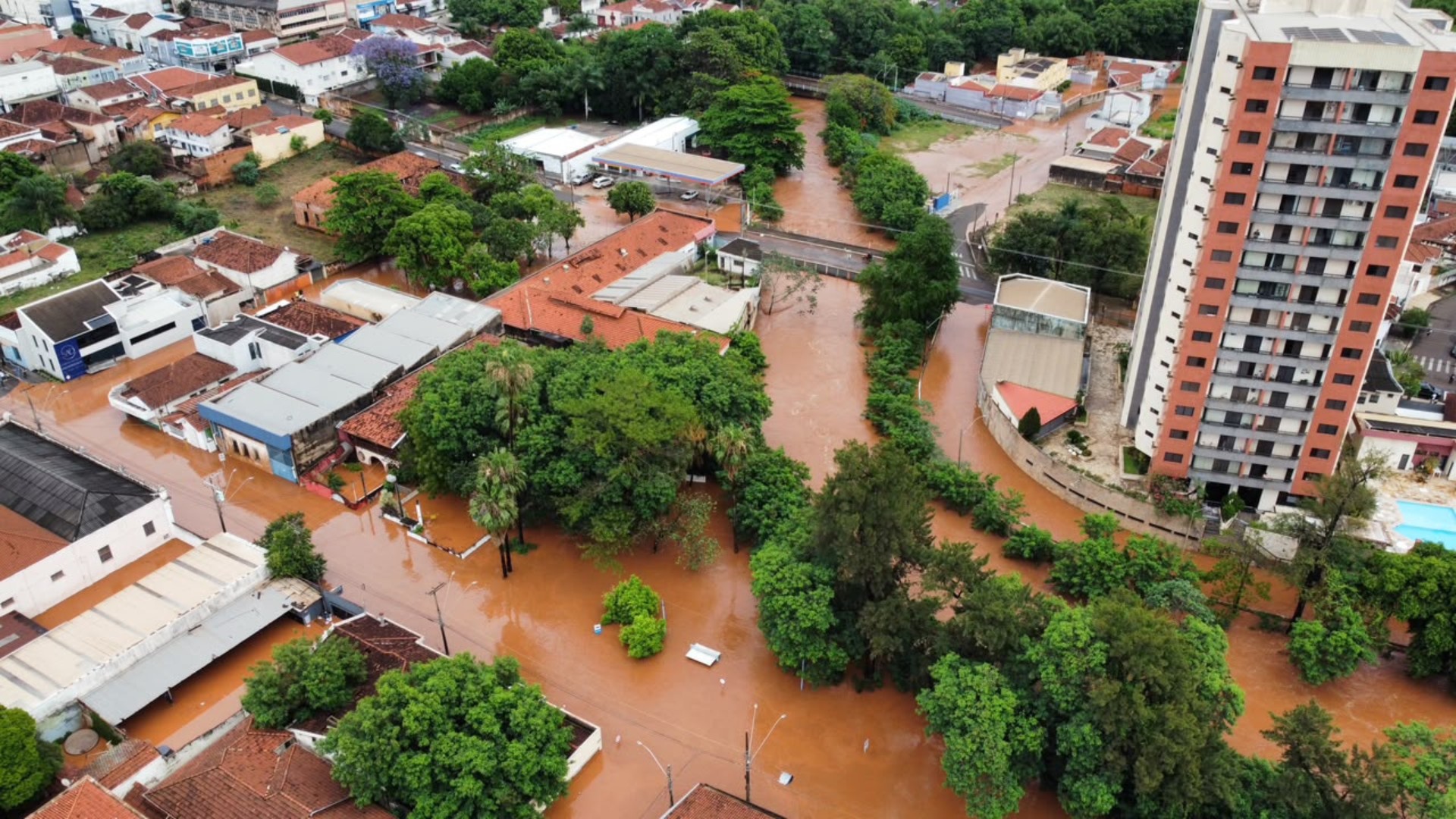 Fortes chuvas provocam alagamentos, quedas de árvores e transtornos no interior de SP