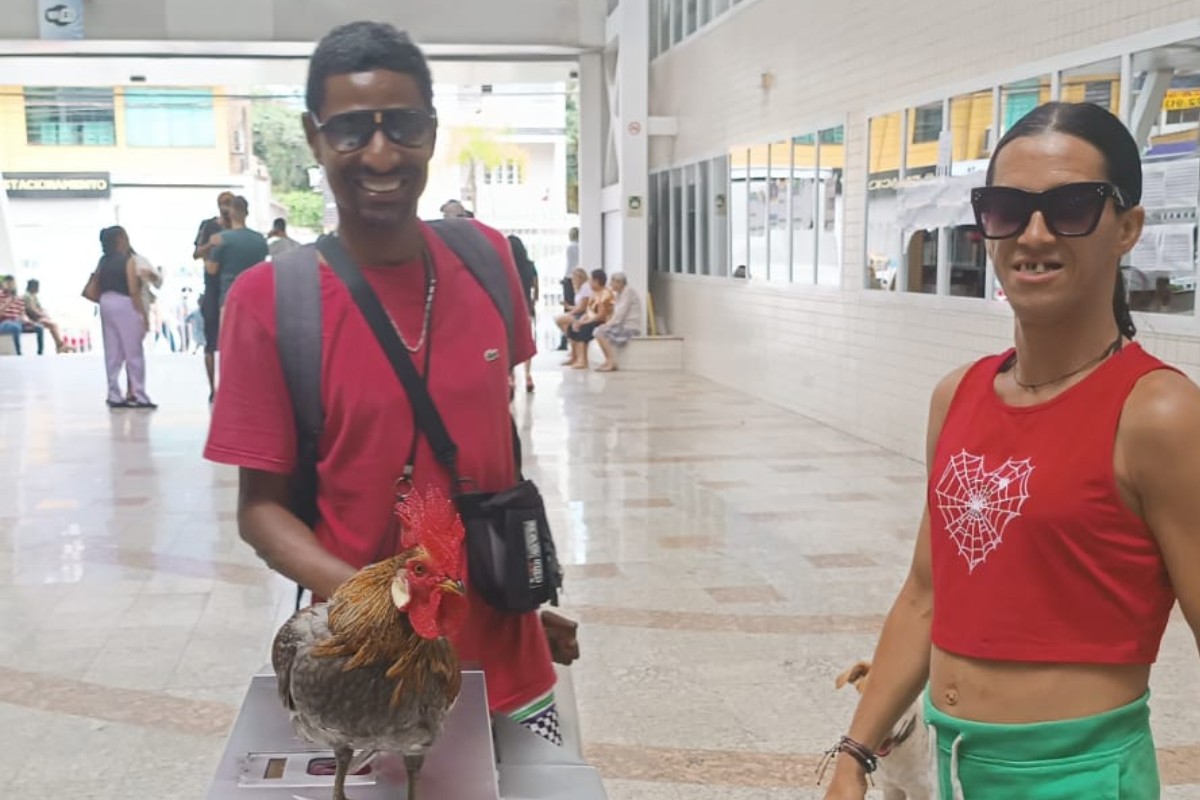 Homem em situação de rua leva galo  para votar no litoral de SP