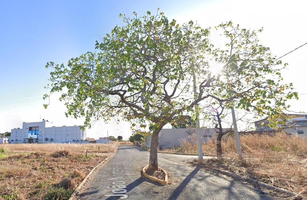 Pequizeiro na rua Jo�o Nort�ncio, no setor Moncelli, em Urua�u � Foto: Reprodu��o/Google Street View