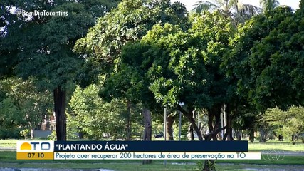 Projeto visa recuperar áreas de preservação do Tocantins
