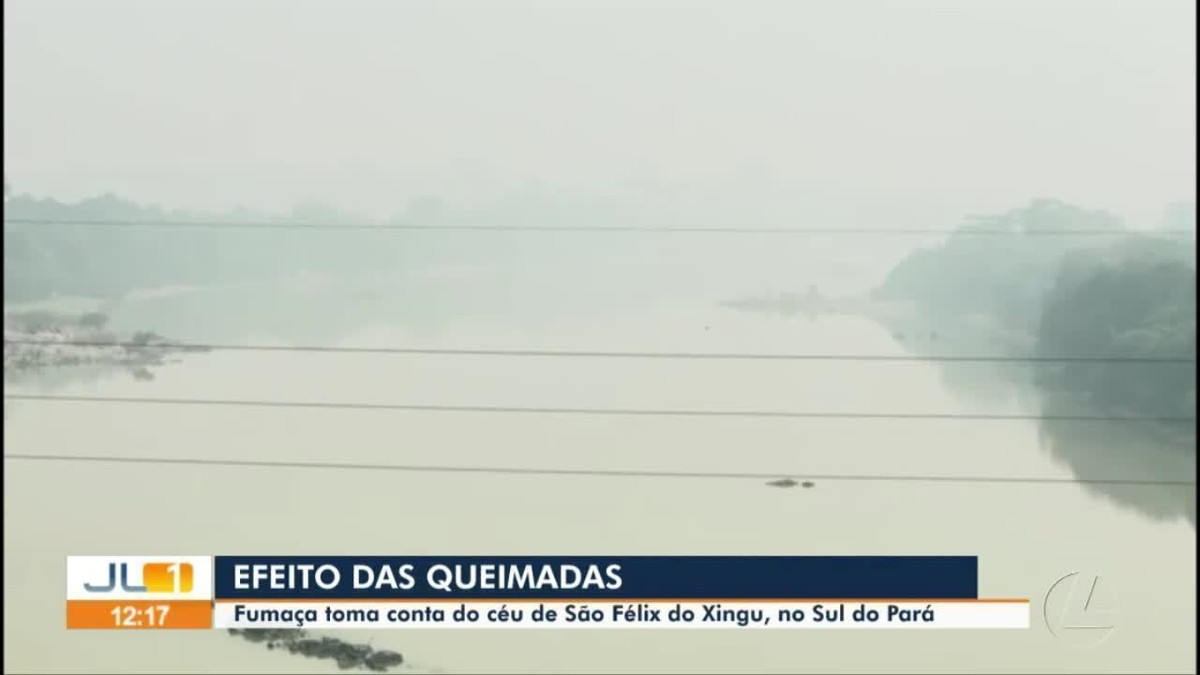 Com extrema seca, São Félix do Xingu, no Pará, decreta situação de emergência