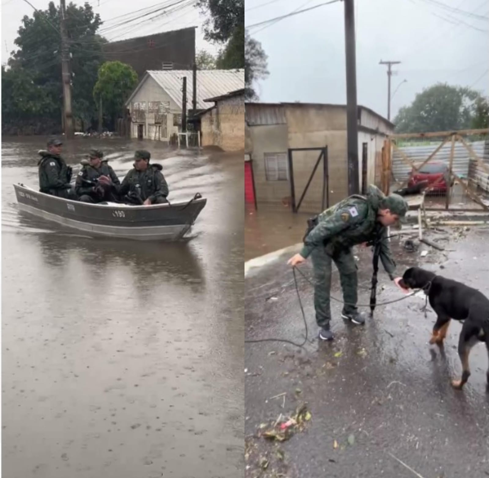 Cão ilhado em telhado de casa na cidade de Canoas, Rio Grande do Sul, é salvo por sargentos de Governador Valadares  