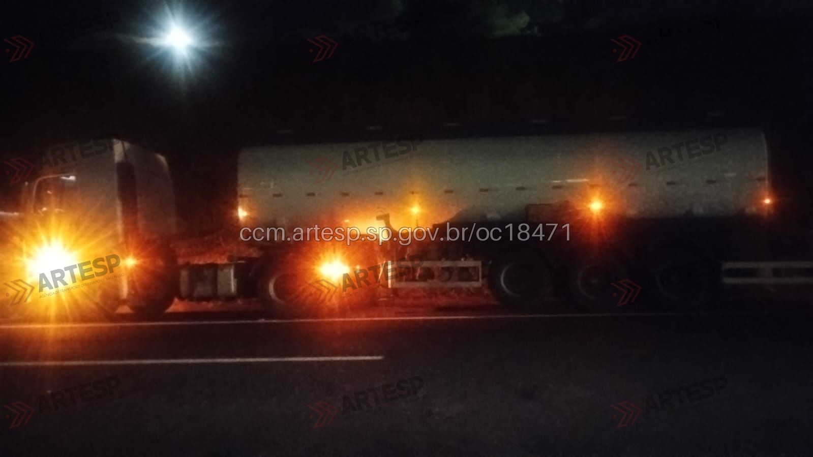 Cavalo é atropelado por carreta após fugir do tutor na SP-225 em Bauru