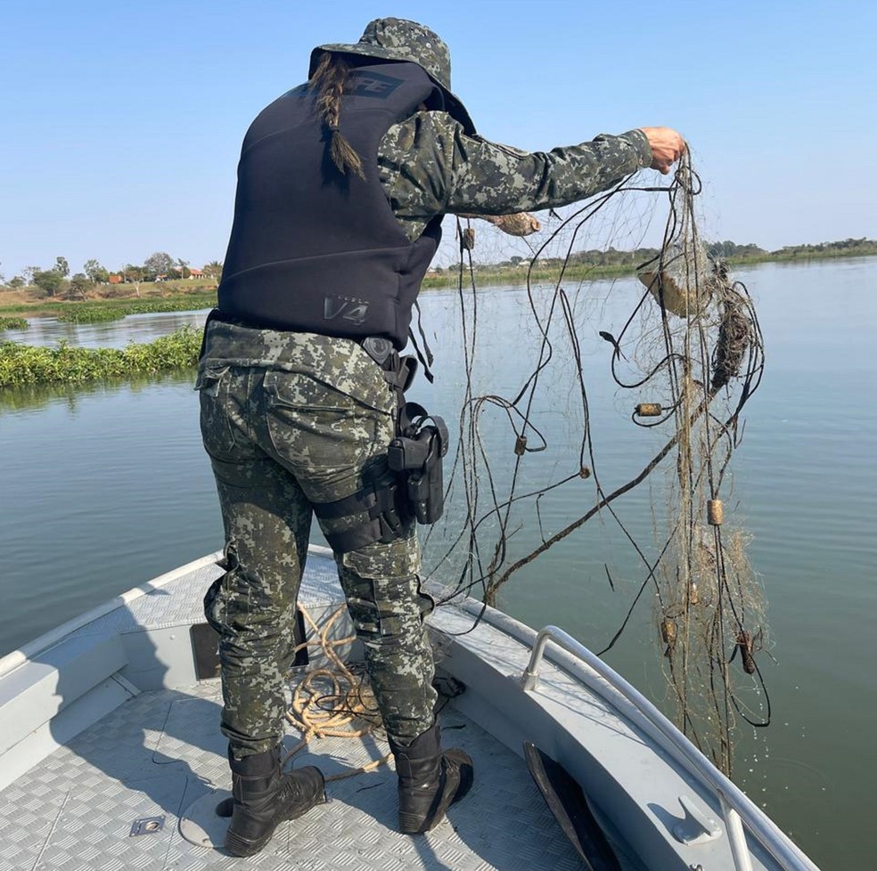 Polícia Ambiental apreende 700 metros de redes de pesca armadas irregularmente, em Presidente Epitácio (SP) — Foto: Polícia Ambiental