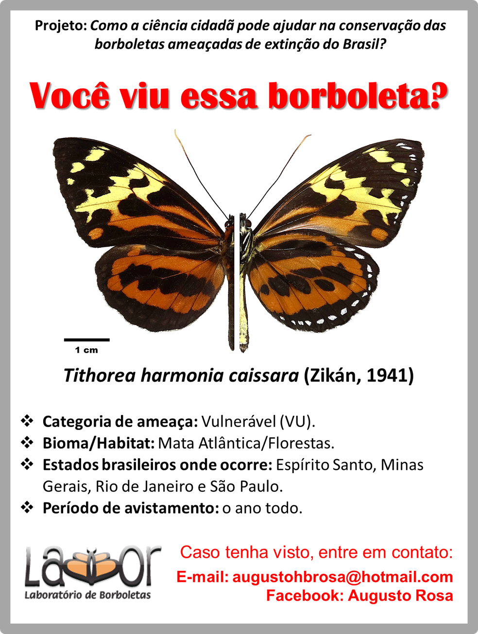 O maior efeito borboleta que vc vai ver hoje : r/brasil