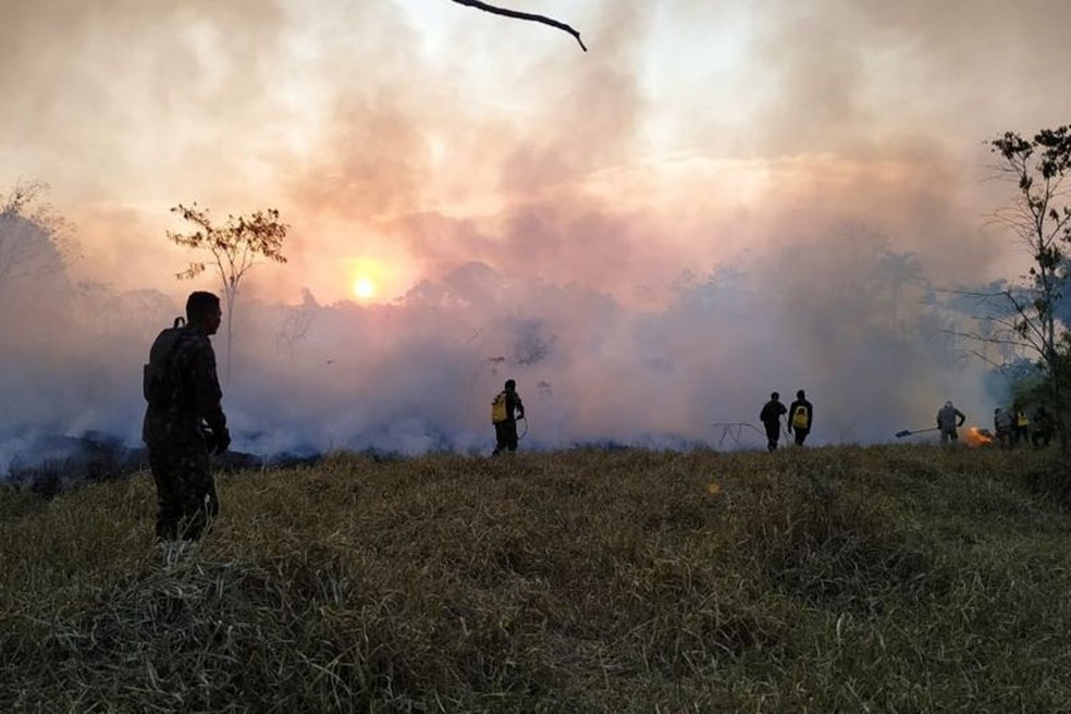 Tropas da Força Nacional deve atuar no combate e investigação de incêndios florestais na Amazônia Legal — Foto: Agência Pará/CBM