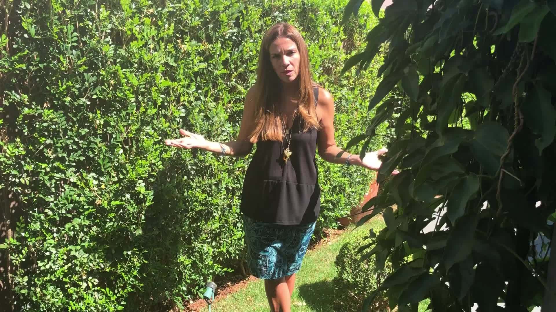 Você Não Tá Convidada pro Meu Bat Mitzvá!