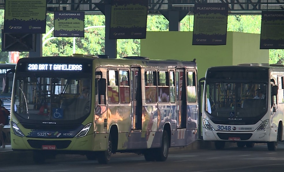 Uberaba terá transporte coletivo urbano gratuito no dia 6 de outubro — Foto: Reprodução/TV Integração 