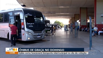Transporte público intermunicipal será gratuito no domingo de votação