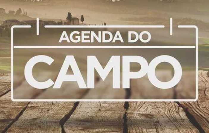 Feiras agropecuárias movimentam a agenda do campo no Paraná