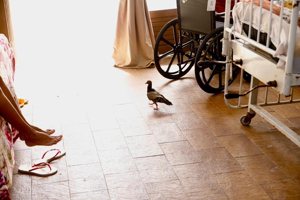 Local foi fechado após descumprir determinações judiciais — Foto: MP-BA