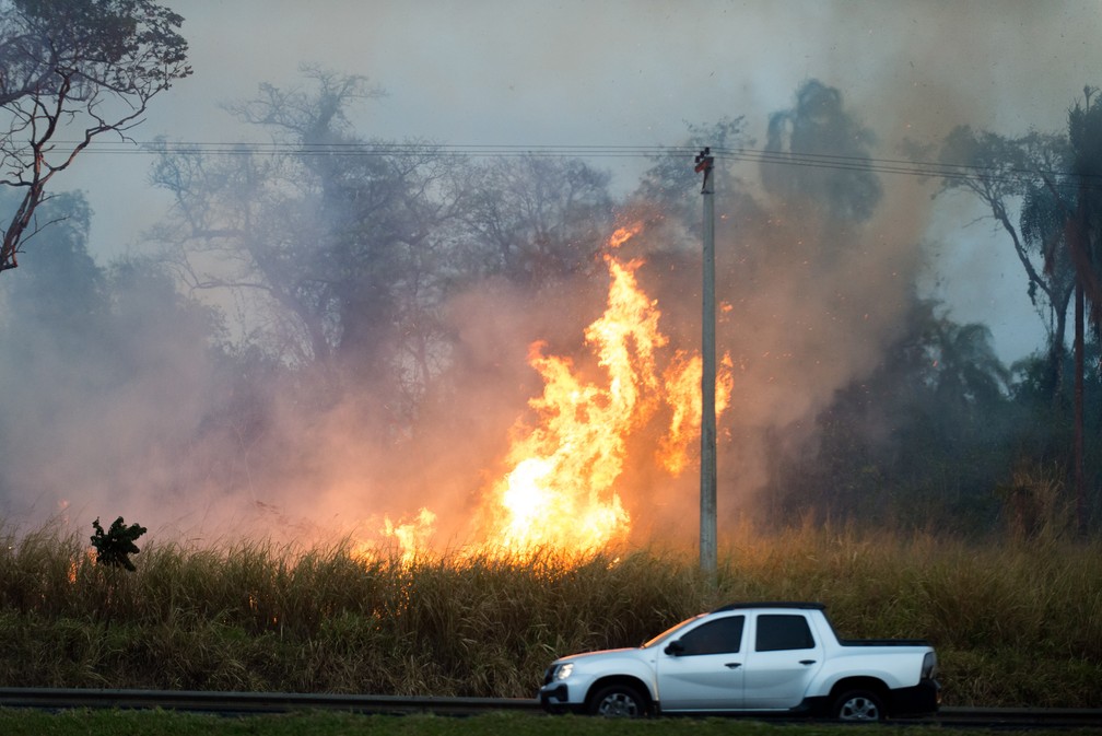 Queimadas perto da Rodovia dos Bandeirantes, na regio de Campinas, neste sbado (24), no estado de So Paulo.  Foto: VINCENT BOSSON/FOTOARENA