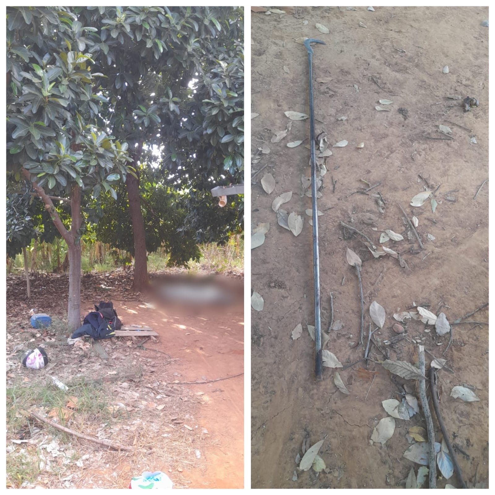 Homem morre eletrocutado ao atingir rede elétrica com foice durante colheita de abacates em MG