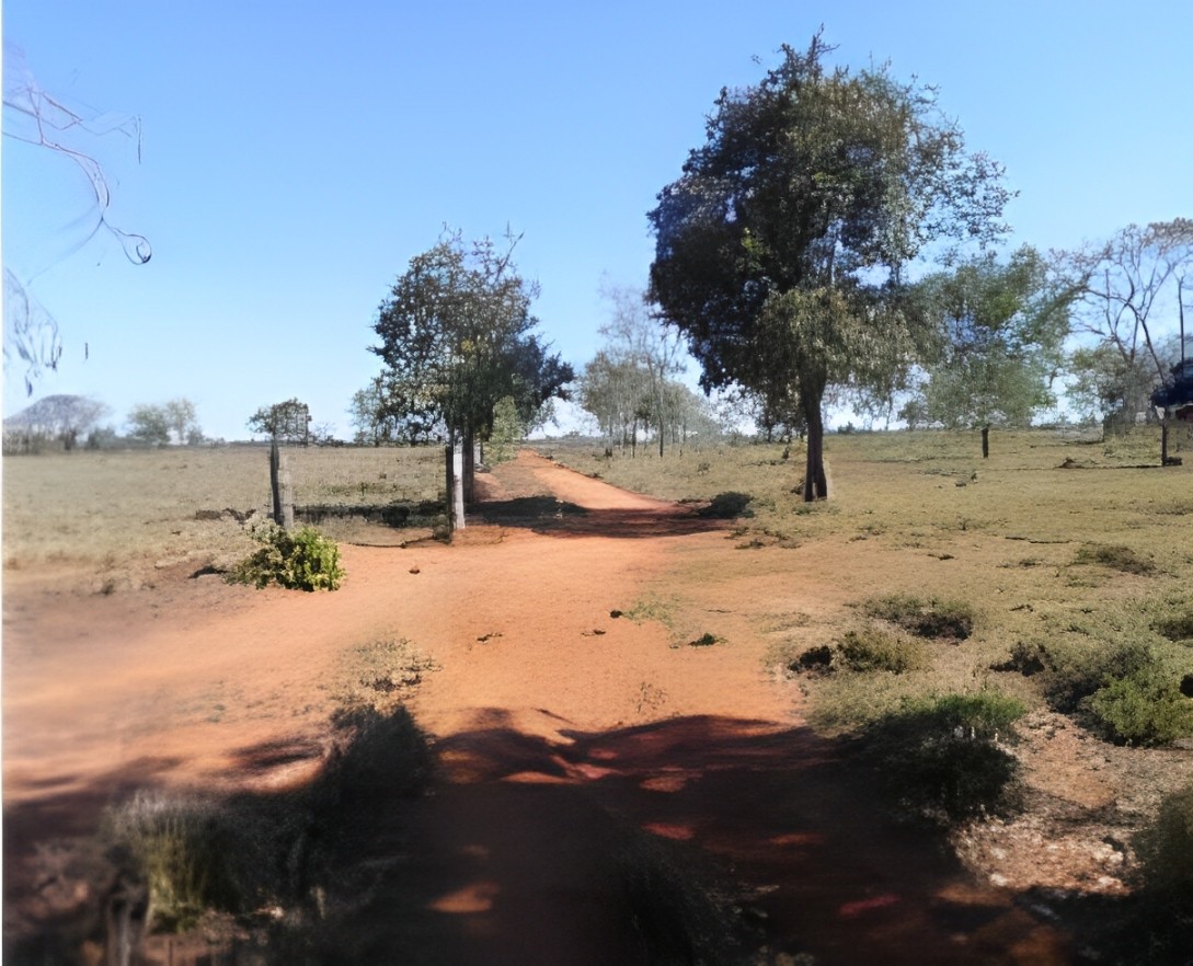 Trilha de acesso à gruta por dentro de uma propriedade privada — Foto: Reprodução