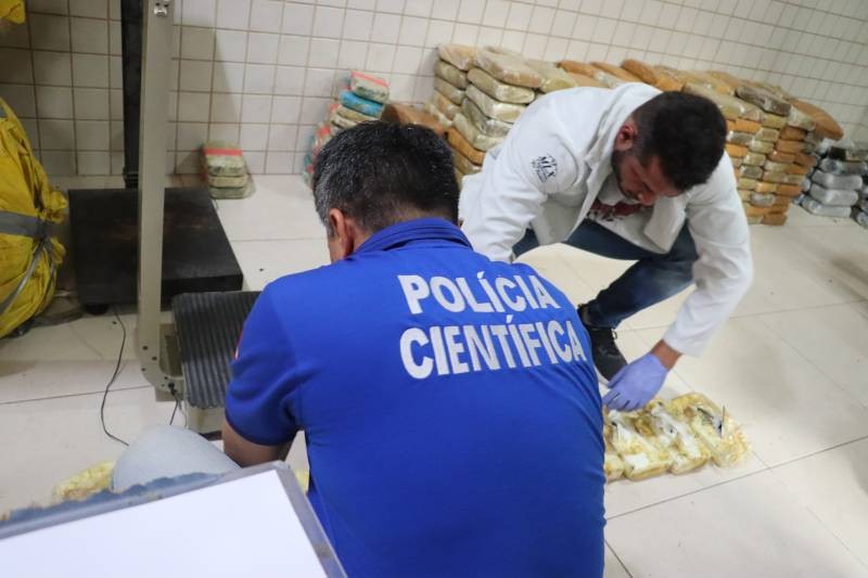 335 quilos de drogas apreendidas passam por perícia antes de ser incineradas, no Pará