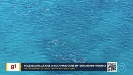 VÍDEOS: Bom Dia PE de quinta-feira, 30 de julho de 2026