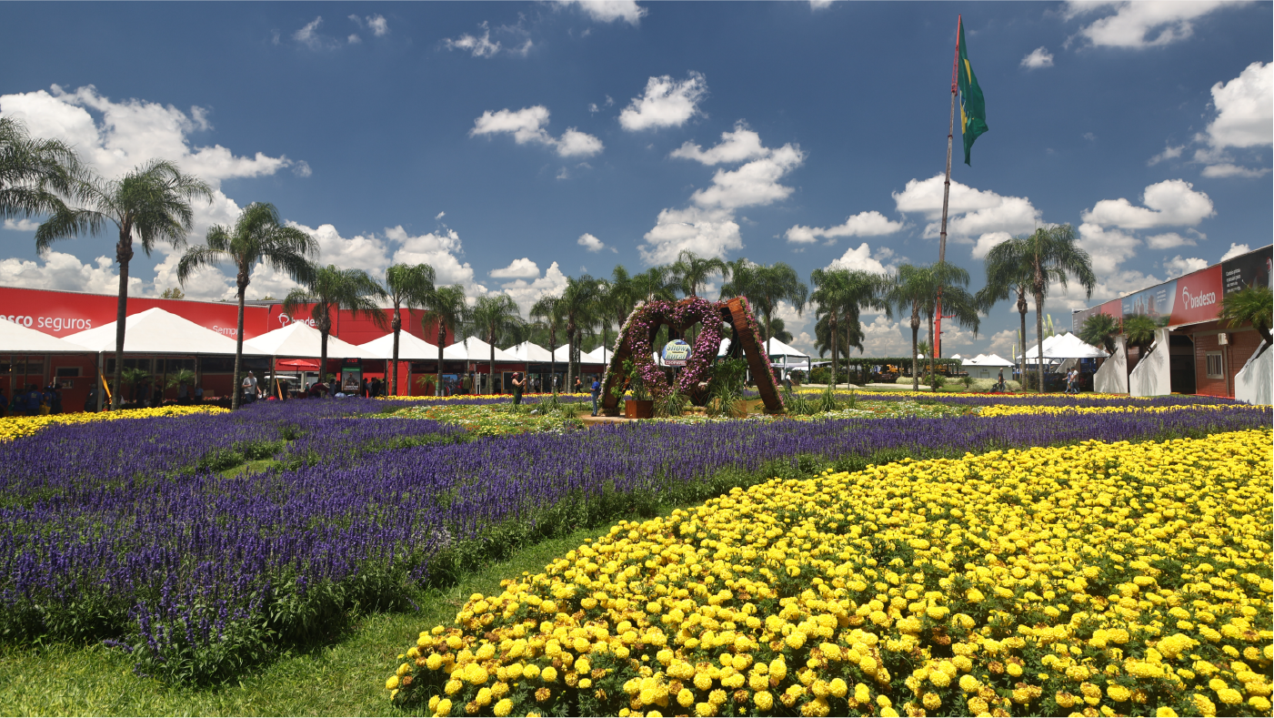 320 mil mudas de flores dão cor e beleza ao parque do Show Rural