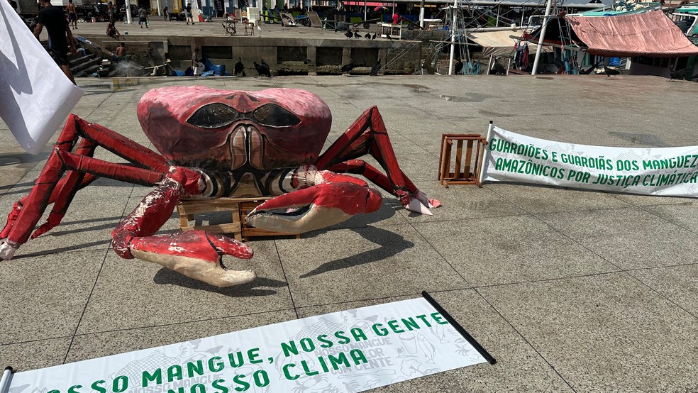 Protesto foi acompanhado de cartazes em defesa da preservação de manguezais amazônicos. — Foto: Thaís Neves / g1