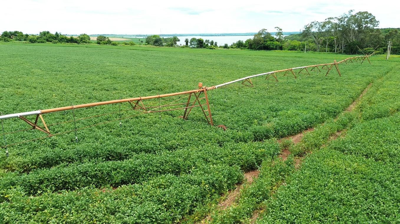 Ladrões miram fios para irrigação e causam prejuízo a produtores rurais no interior de SP