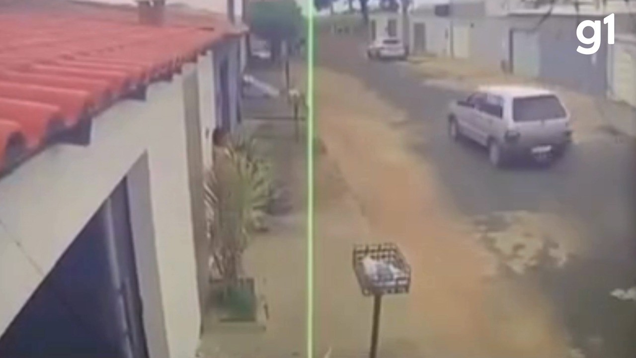 VÍDEO: Motorista arrasta corpo de cachorro pelas ruas de cidade do interior de MG; o caso é investigado 