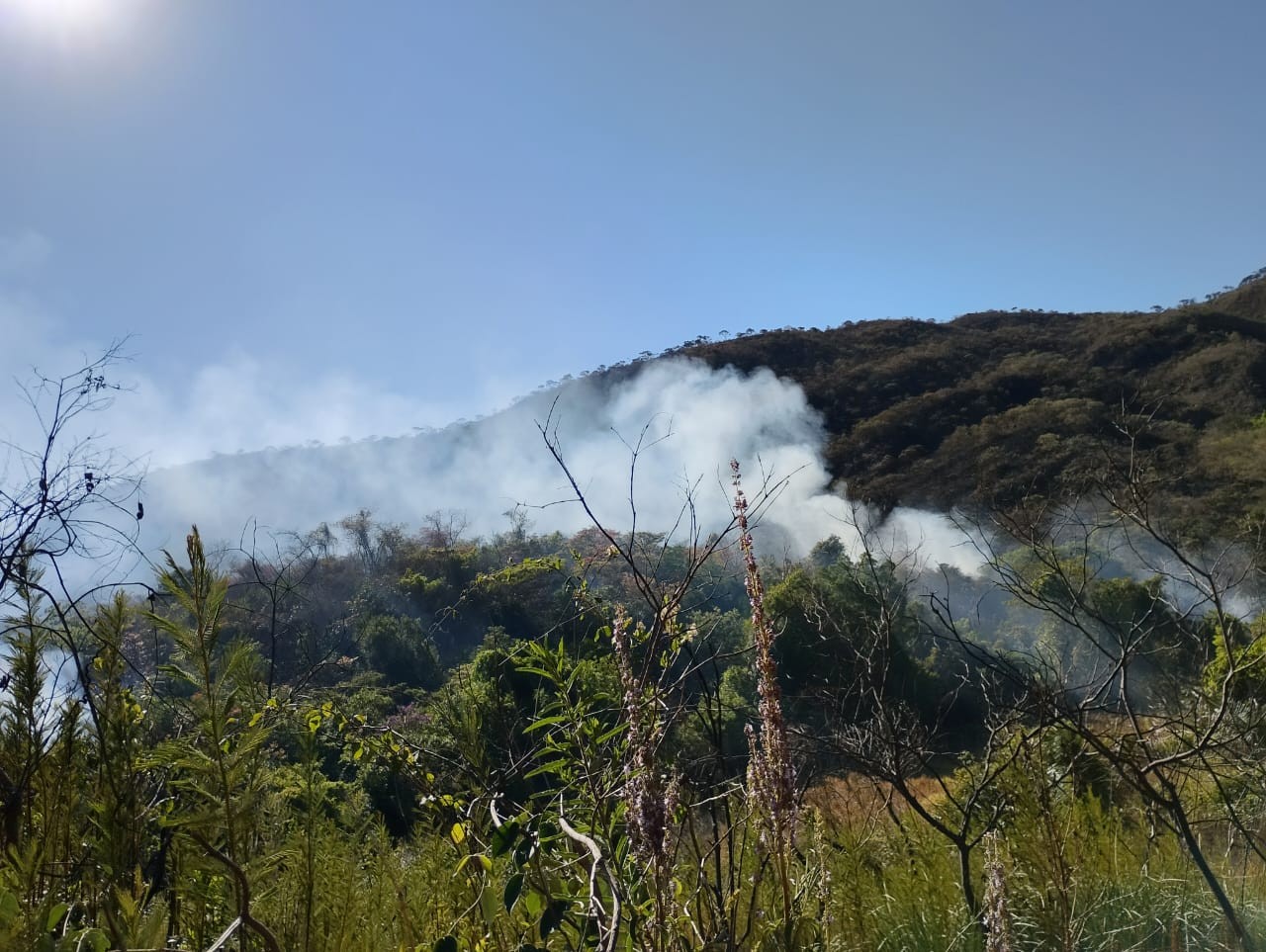 Bombeiros e brigadistas combatem incêndio perto do Parque Estadual Serra Nova
