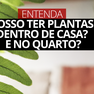 Botânico explica que as plantas expelem gás carbônico à noite como parte do seu processo de respiração.