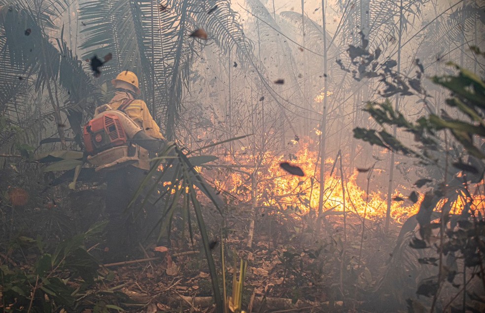 Incêndio no Parque Guajará-Mirim, em Rondônia — Foto: PrevFogo