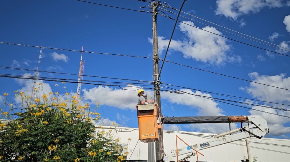 cemig uberl&acirc;ndia falta de energia macaco &mdash; Foto: Reprodu&ccedil;&atilde;o/TV Integra&ccedil;&atilde;o