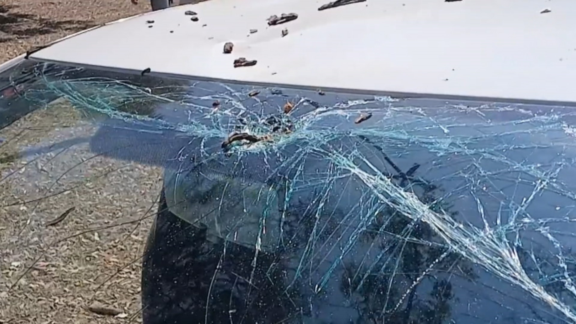 Galhos caem de árvore e quebram carro de motorista de aplicativo em Mogi das Cruzes