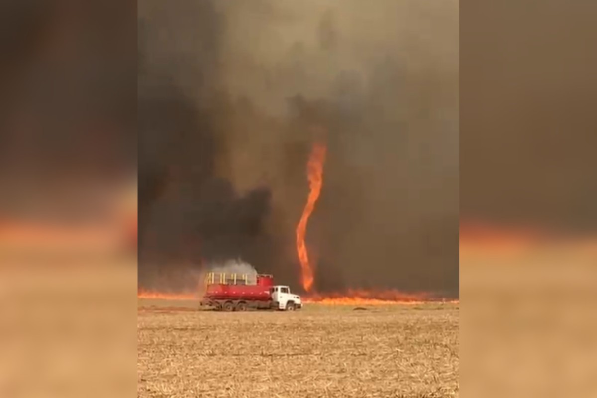Você Não Tá Convidada pro Meu Bat Mitzvá!