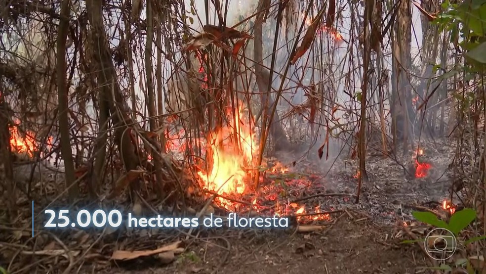 Há mais de 20 dias, incêndio destrói a maior reserva indígena do MA — Foto: Reprodução/TV Globo