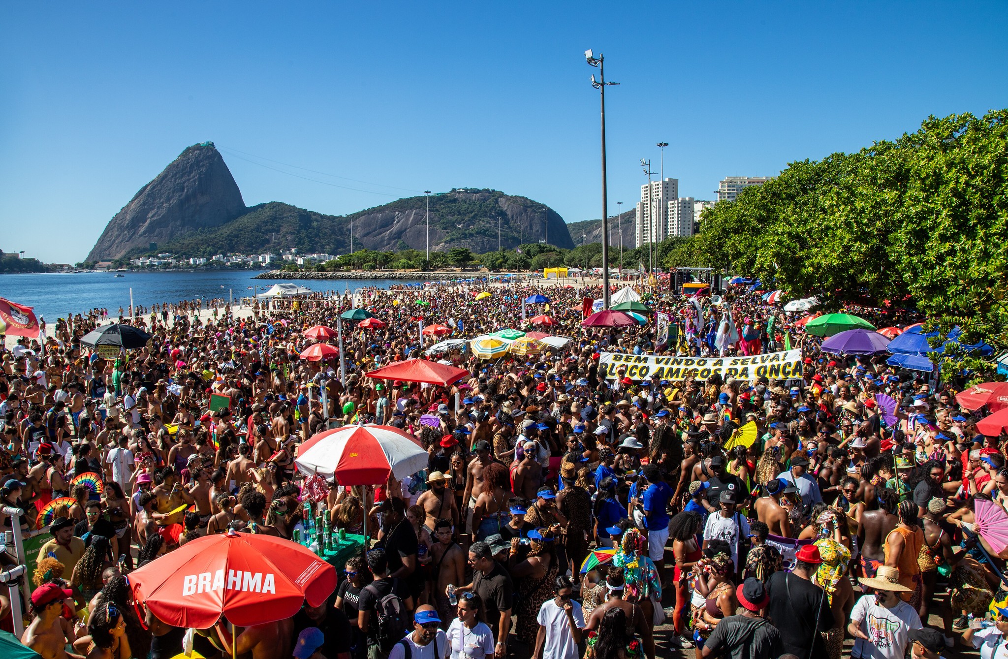 Bola Preta, Céu na Terra, Banda de Ipanema... Confira os 57 blocos deste sábado do carnaval do Rio