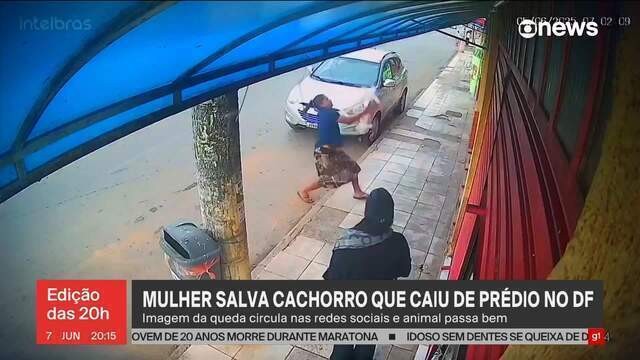 Mulher salva cachorro que caiu de prédio no DF; veja VÍDEO