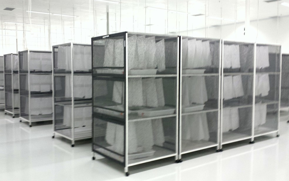 Fábrica de Mosquitos Aedes do Bem em Piracicaba/Arquivo — Foto: Claudia Assencio/G1