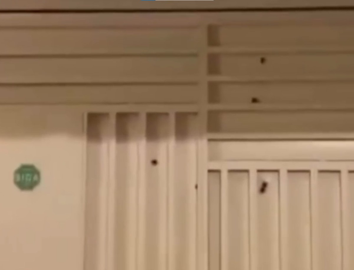 Casa de subtenente da Polícia Militar é alvo de ataque a tiros na Bahia 