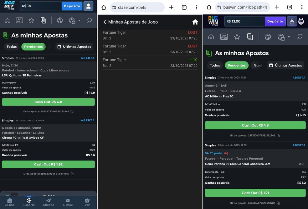 Apostas realizadas em sites do RJ e da PB  Foto: Reproduo