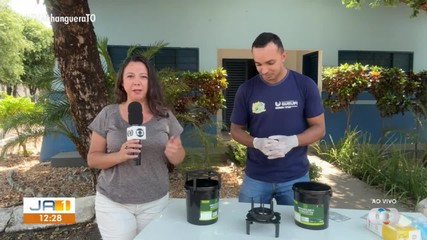 Gurupi implementa armadilhas para combater o mosquito da dengue