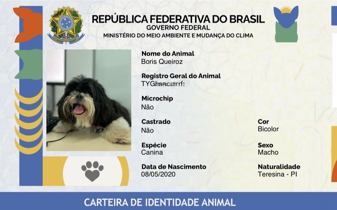 RG para cães e gatos: tutores poderão emitir carteira de identificação de animais nesta sexta (23) em Teresina